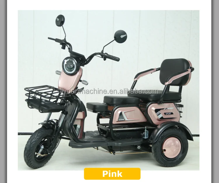 Y3-XK Electric Vehicle Electric Tricycles Cargo Tricycle Electric 3 Wheel Electric Scooter 48V Eec E Trike 3 Wheel Adults Open