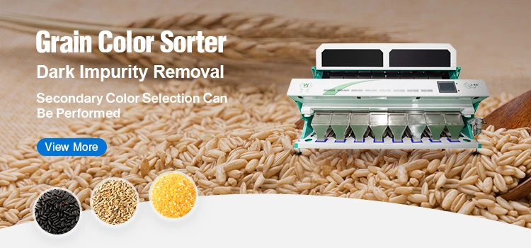 WENYAO Channa Dal CCD Camera Sesame Seeds Wheat Sorting Machine