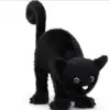 Chat effrayé 25cm