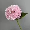 rosa claro