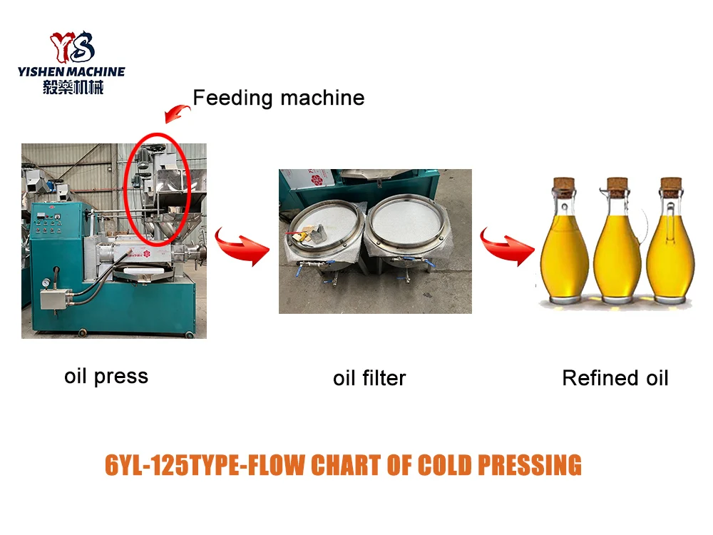 China Grape Seed Olive Oil Cold Extractor/ Oil Press Machine for Business  Second Hand Oil Press Machine