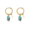 ER03130-2apatite