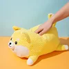 Small-sized dog