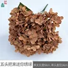 Five-headed Mini Hydrangea WZT Brown