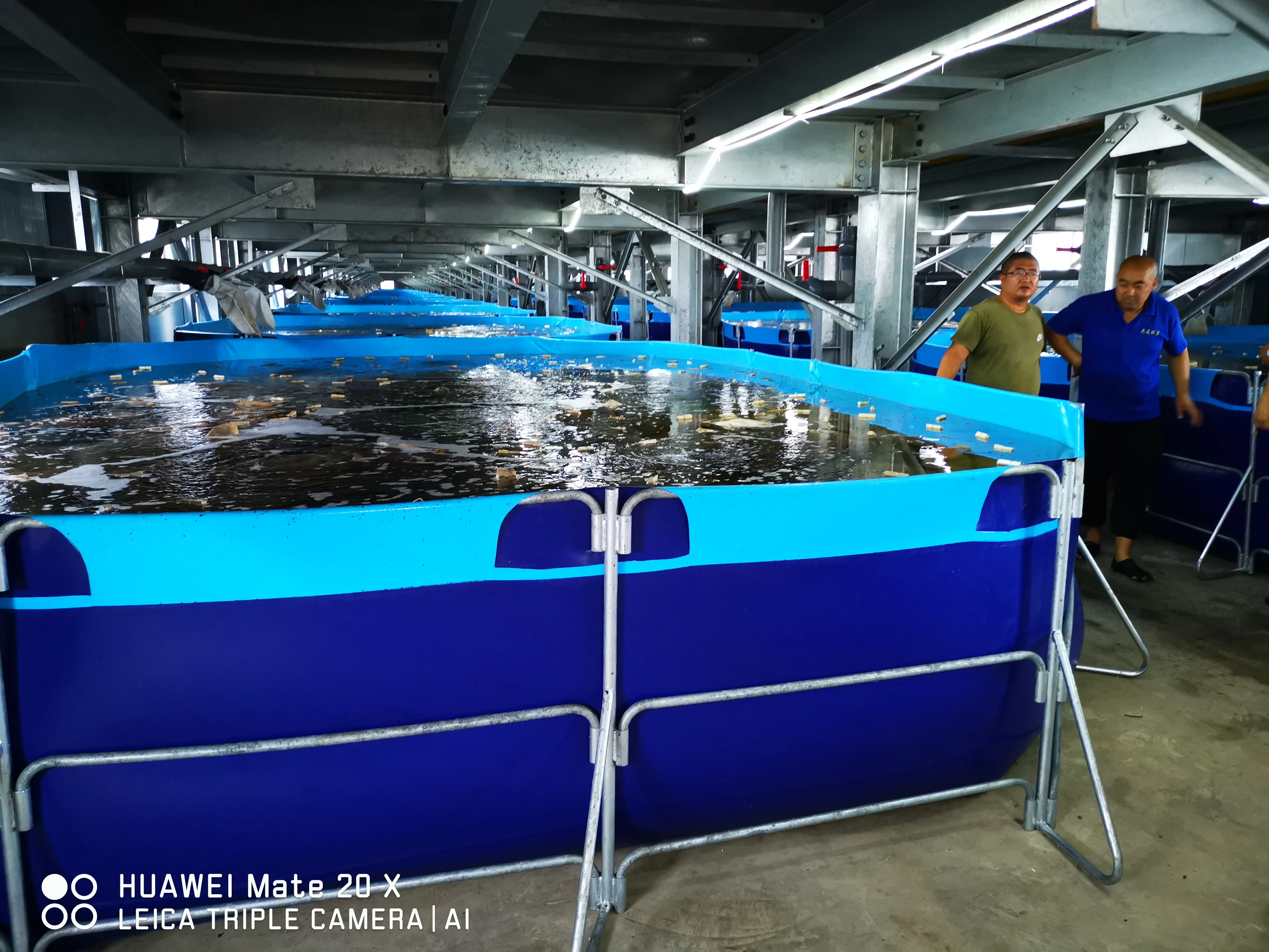 2023 Hot Selling Ras Fish Farming Tank Flexible Pvc Tarpaulin Fish Tank