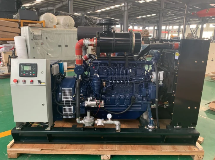 80kw 100kw 120kv 125kva 150kw 200kw 250kw 300kva Industrial Silent Natural Gas Biogas LPG Generator with CHP