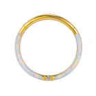 Piercing G23 Titanium Professional Piercing Jewelry 100 Pcs Real Opal G23 Pure Titanium Nose Ring Hinged Septum Clicker
