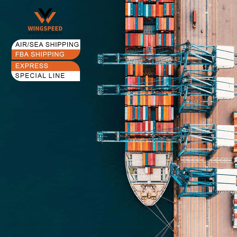 FCL freight forwarder Bulk shipping solutions from China Chongqing to Mexico MX/CL/AR/NL/SE Germany Berlin, Spain Madrid
