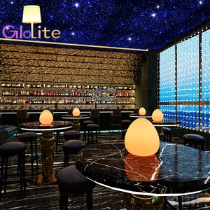 Golite Modern LED Table Lamp Cordless Rechargeable Decorative Lights for Restaurant Bedroom Hotel Multiple Colors Bars AC