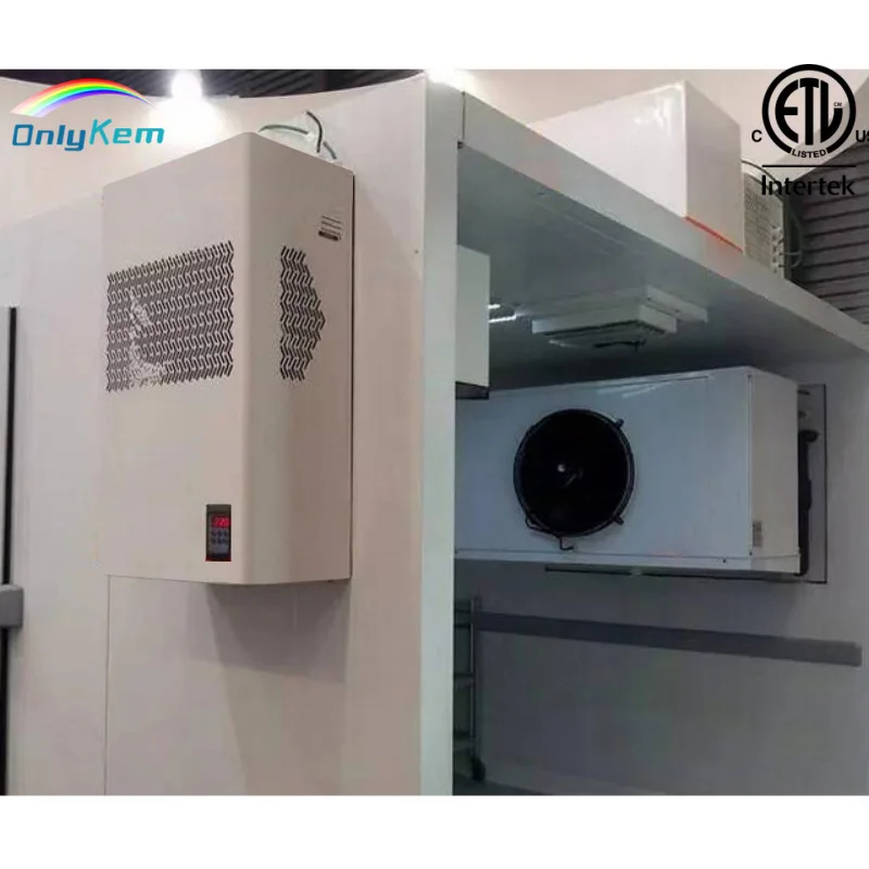 Monoblock Unit, ETL, NSF - detail 10