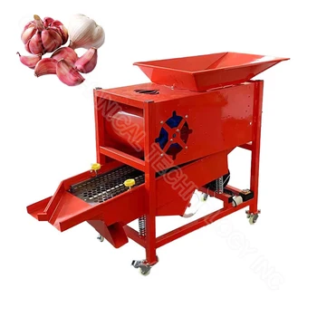 Professional Grading 1000 Kg Sorting Machine Wholesale Garlic ...