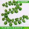 36-leaf pothos (12 leaves)