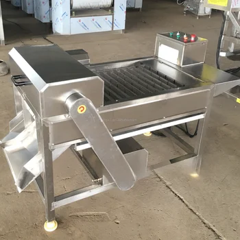 H24bbb1f3ef04449c960764e2a2350