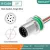 M12-A-8P male M12*1.0
