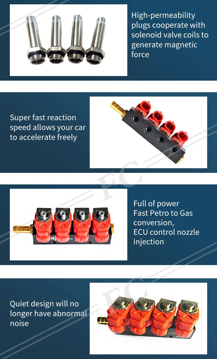 Fc 6 Cylinder Cng Lpg Fuel Injection Kit Cng Gnv Gnc Injector Rail