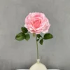 Rosa chiaro