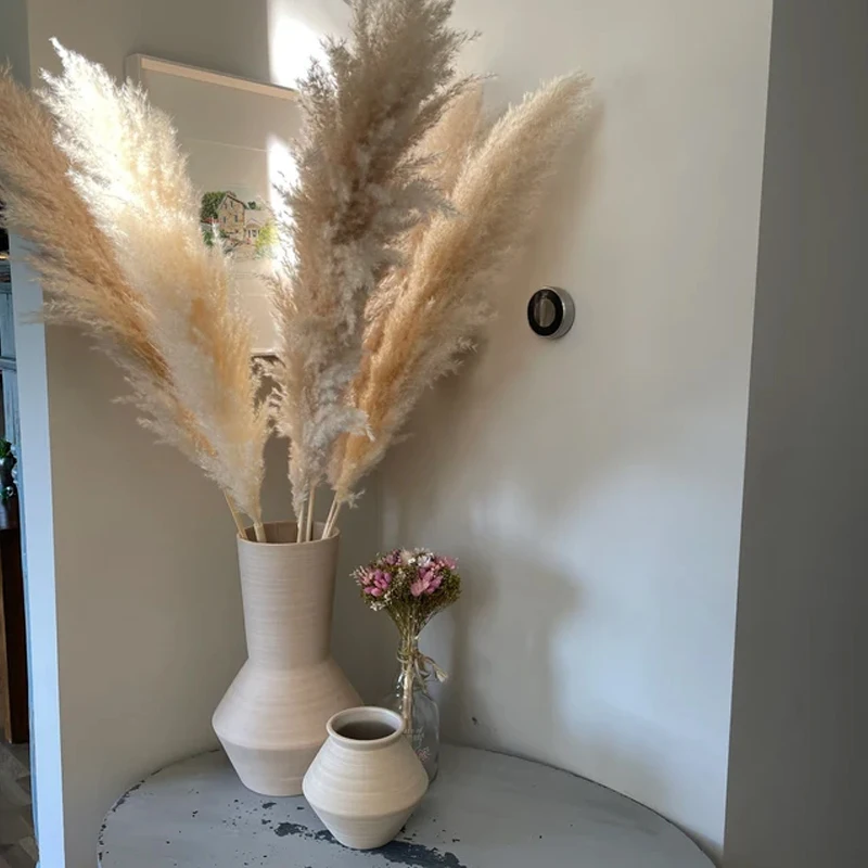 110120cm Pampas 4ft5ft Bleached White Large Fluffy Pampas Grass Buy
