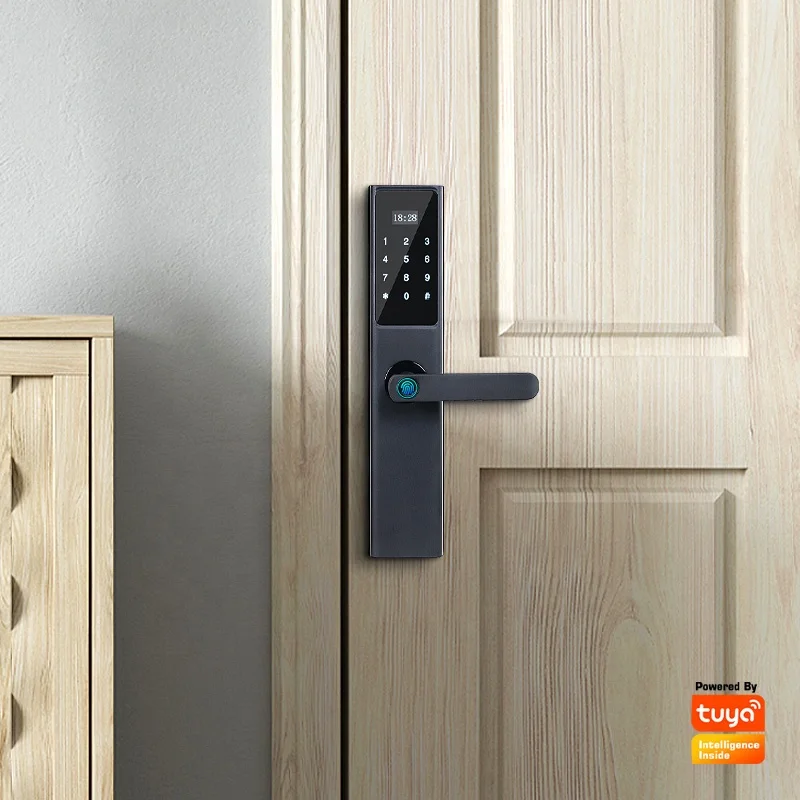 New Design Fingerprint Main Epic Digital Door Lock by Wifi Tuya Smart Life APP