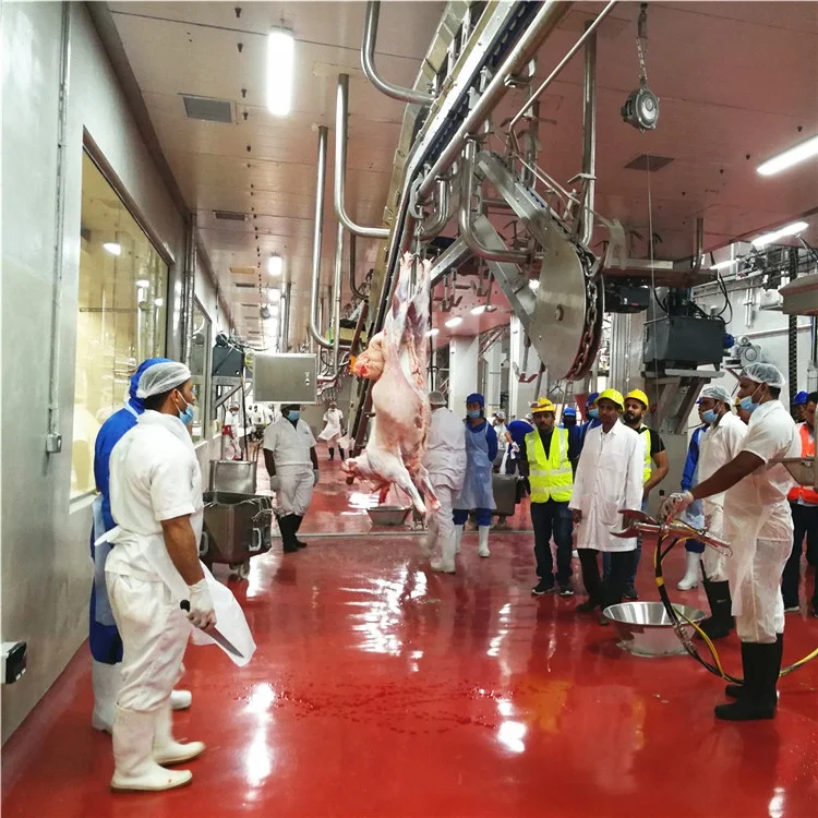 Sheep slaughtering line halal goat slaughtering factory