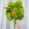 Cuore Rosso Alocasia Verde Goccia di Rugiada