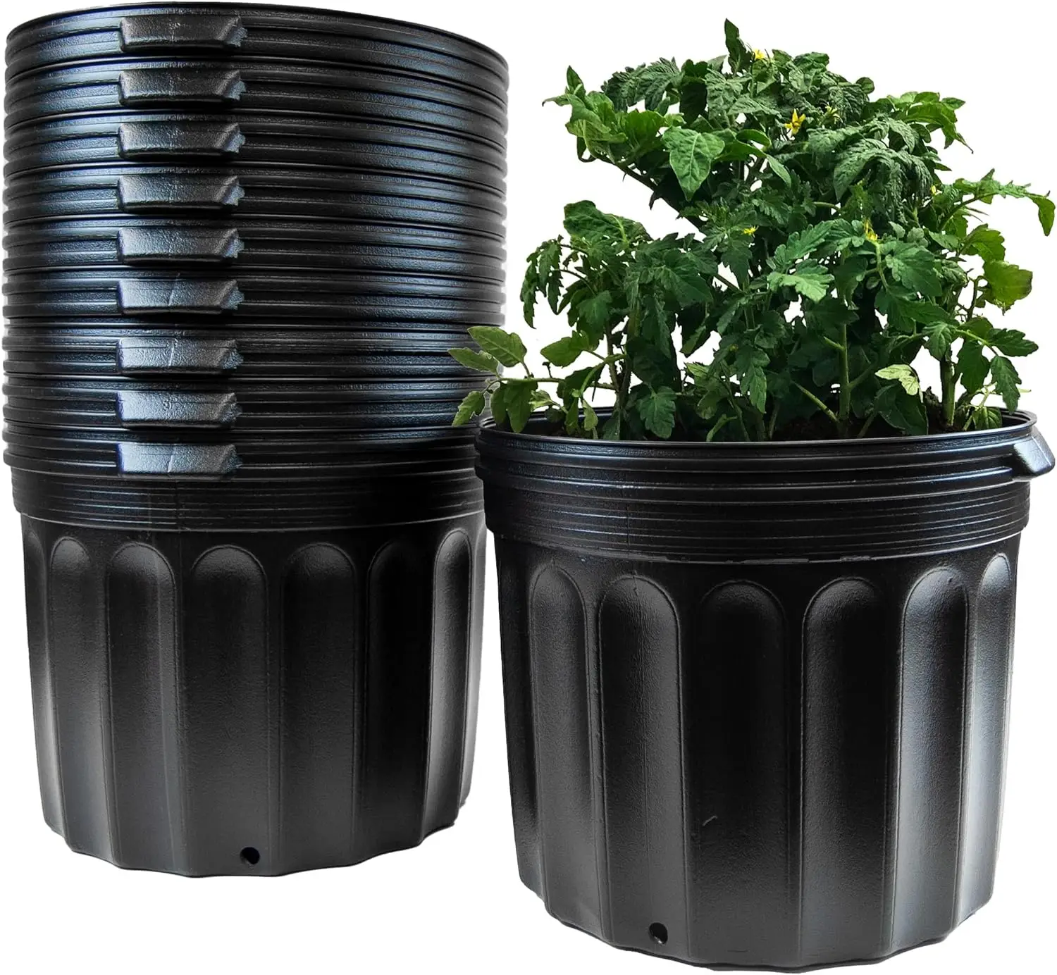 Wholesale Black Plastic Pots - Ideal for Garden & Nursery