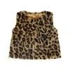 Classic Brown Leopard
