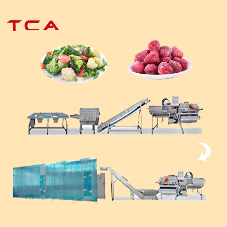 TCA Frozen Vegetable Production Line Iqf Fruits and Vegetables Line for Cucumbers Tomatoes and Snow Peas