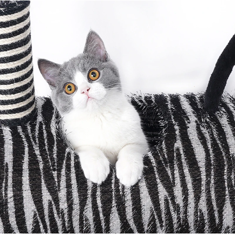 Jouet De Saut Type Zebre Pour Chat Avec Bois Pour Faire Ses Griffes Poste A Gratter Cadre D Escalade Livraison Nationale Buy Chat Cadre D Escalade Chat Meubles Chat Gratter Product On Alibaba Com