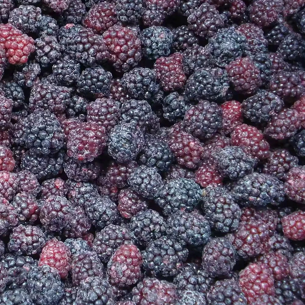 Yüksək Keyfiyyətli Dondurulmuş Qarağat IQF Qarağat Meyvələri Toptan Satış Qiyməti Partiyası Təzə IQF Dondurulmuş Qidalanma Qarağat