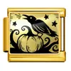 Icp-jcaa0238-2 Oro