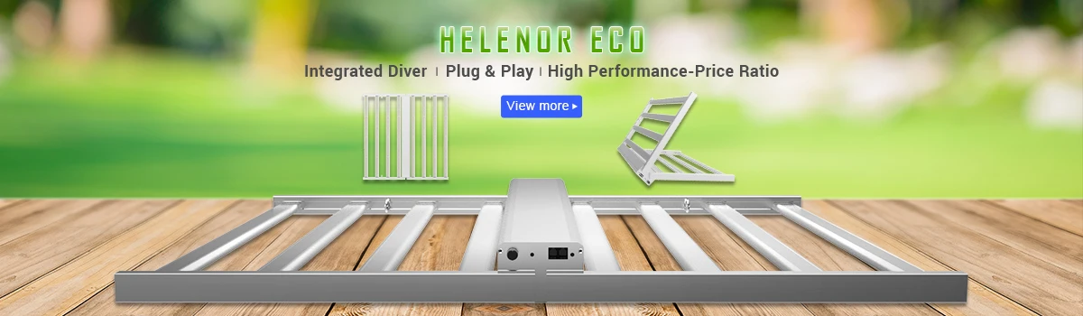 HELENOR-ECO_1200x350px