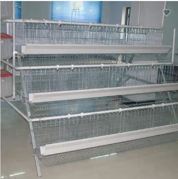 A Type Chicken Cage Egg Laying Automatic Poultry Farm Equipments For