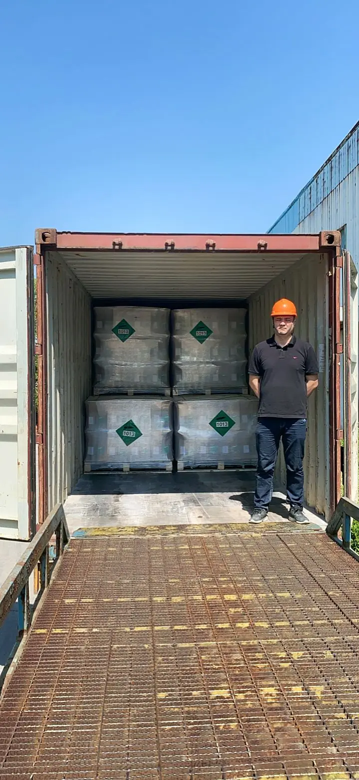 Whipped Cream Chargers 0.95l 580g Disposable Gas Cylinders With