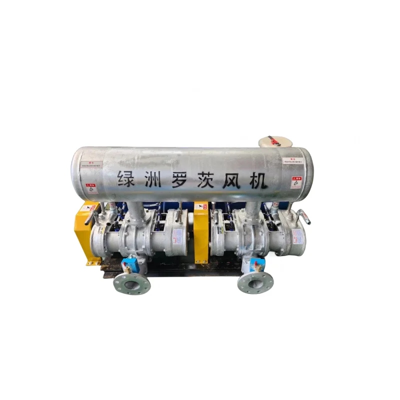 Roots Blower, 380 V, Electric - detail 34