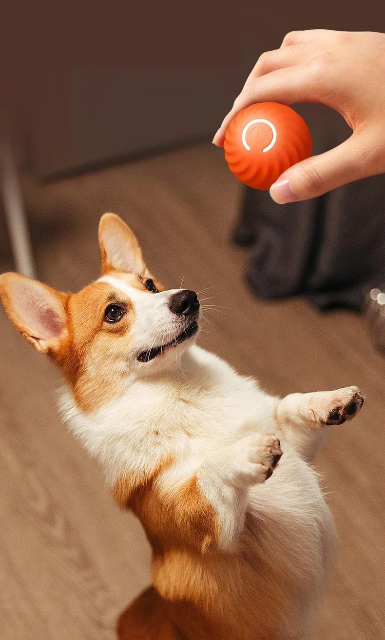 Wholesale Automatic Interactive Durable Dog Chew Active Rolling Ball