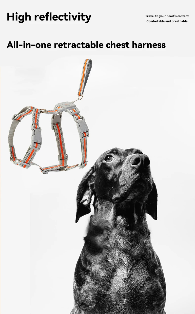 Retractable Dog Leash Harness Set Reflective Adjustable Vest No Pull Lead for Large Dogs factory