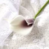 Purple heart white