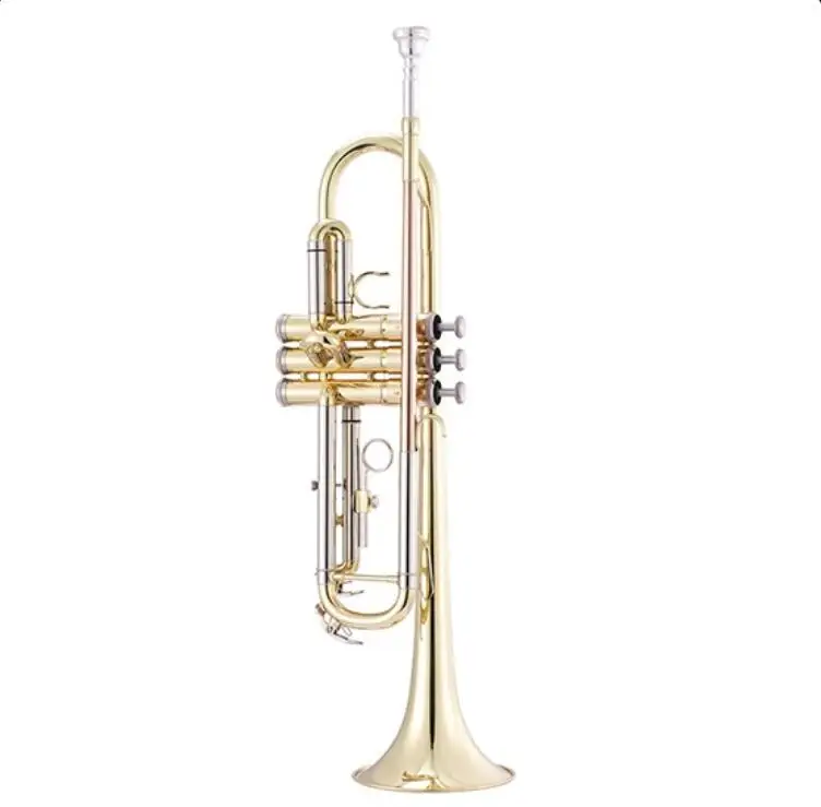Музыкальные инструменты под заказ, профессиональный комплект труб, латунные Музыкальные инструменты белого и золотого цвета