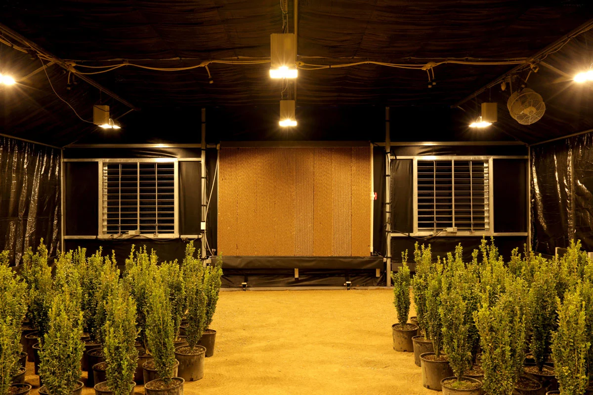 herb greenhouse