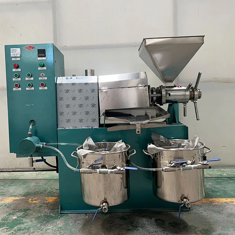 China Grape Seed Olive Oil Cold Extractor/ Oil Press Machine for Business  Second Hand Oil Press Machine