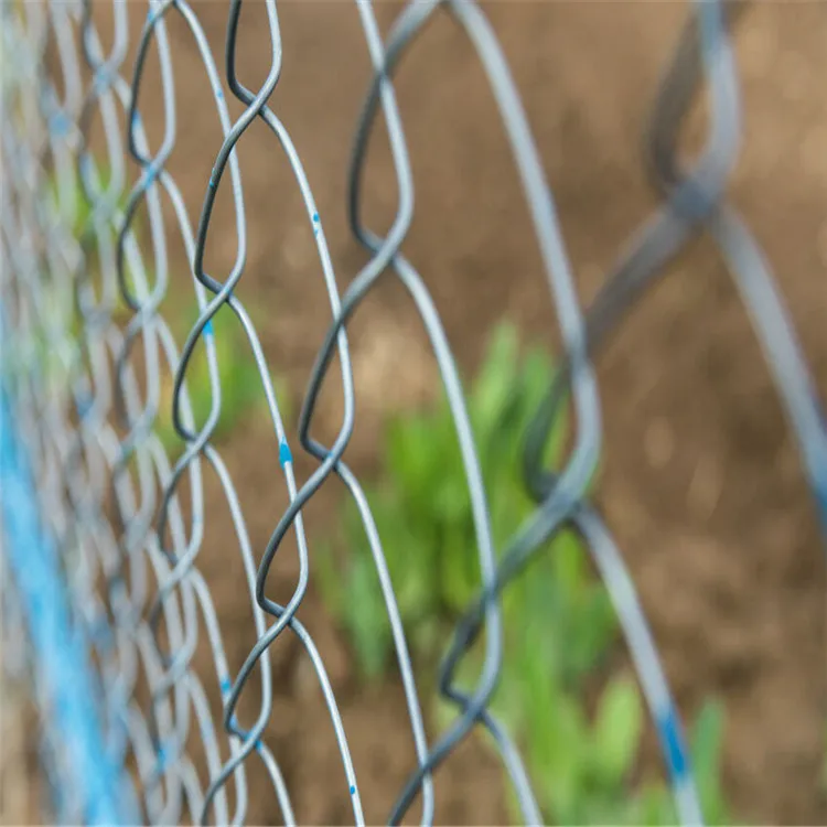 Pvc Coated Chain Link Iron Wire Mesh Fence Post / 6ft 7ft8ft Galvanized Diamond Mesh Wire Fencing Tortoise Fence