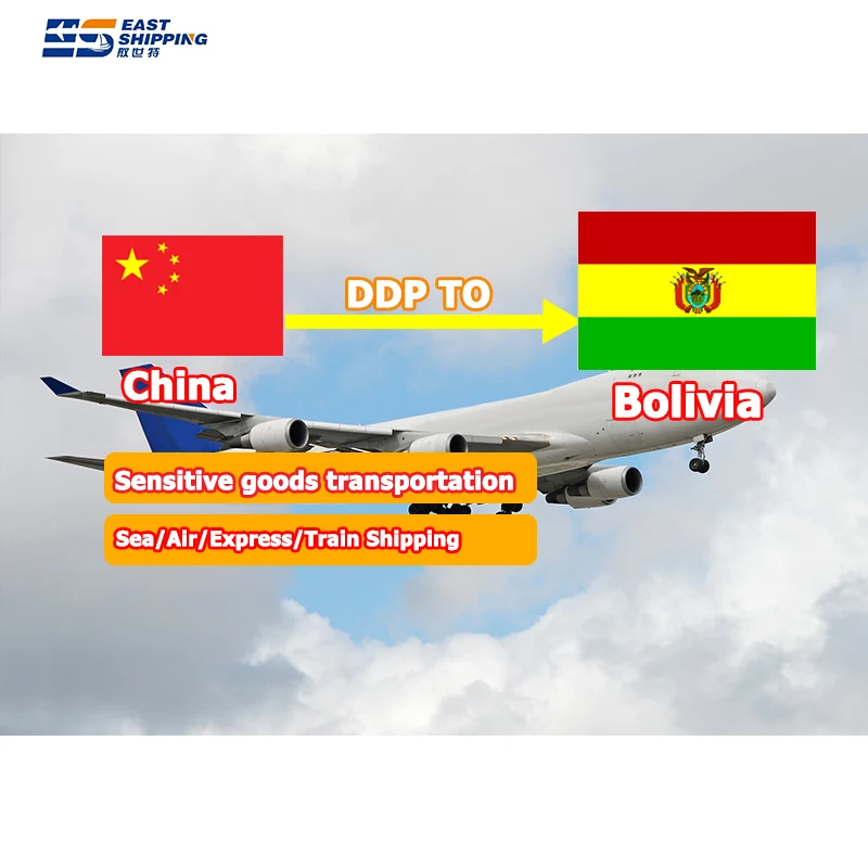 Shipping Agent China To Bolivia Freight Forwarder Logistics Agent DDP Door To Door Transport To Bolivia