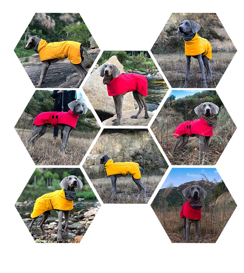 Custom Dog Winter Coat Giant Luxury Pet Clothes Waterproof Large French