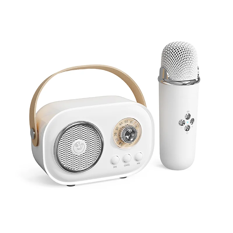 Fashion Mini Portable Retro bluetooth Speaker Custom Karaoke Wireless Speaker with Mic and bluetooth