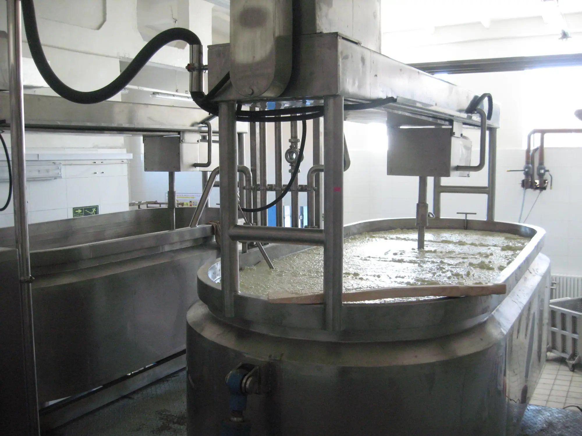 Genyond Mozzarella Cheese Drum Molding Machine / Filata Cheese Molding Machine Buy Mozzarella