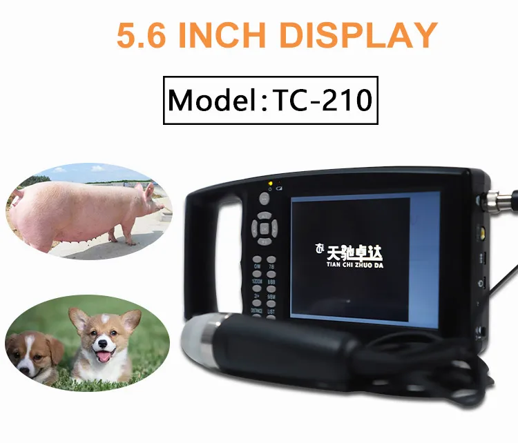 TIANCHI veterinary ultrasound machine TC-210 handheld vet ultrasound s –  Veterinary Ultrasounds