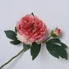 Rosa Fucsia Intenso