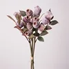 Baie gris-violet
