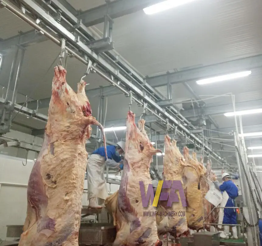 Large Slaughterhouse Complete 250 Cattle Per Hour Halal Meat Processing