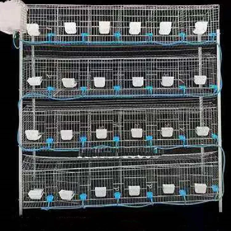 Breeding Rabbit House Attached Nest Box and Rabbit Cages New Product Provided 12 Rabbit Cages Philippines Metal Tube 1 Set